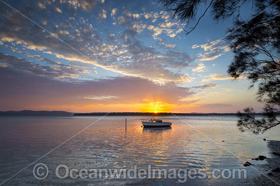 Wallis Lake Forster photo Wallis Lake Forster photo