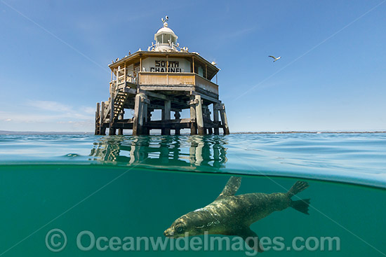 South Channel Pile Light photo