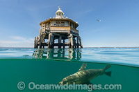 South Channel Pile Light Photo - Gary Bell