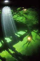 Cerberus shipwreck Photo - Gary Bell