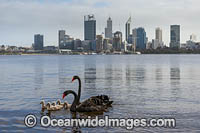Swan River Perth Photo - Gary Bell