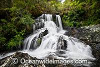 Bangalore Falls Photo - Gary Bell
