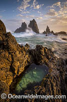 Camel Rock Bermagui Photo - Gary Bell