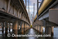 Sundale Bridge Surfers Photo - Gary Bell