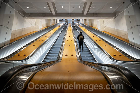 Wynyard Station Sydney photo