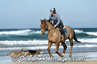 Horseriding Coffs Harbour Photo - Gary Bell