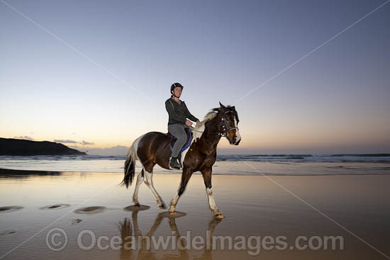 Horseriding Coffs Harbour photo Horseriding Coffs Harbour photo
