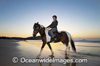 Horseriding Coffs Harbour Photo - Gary Bell