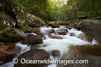 Mossman Gorge Photo - Gary Bell