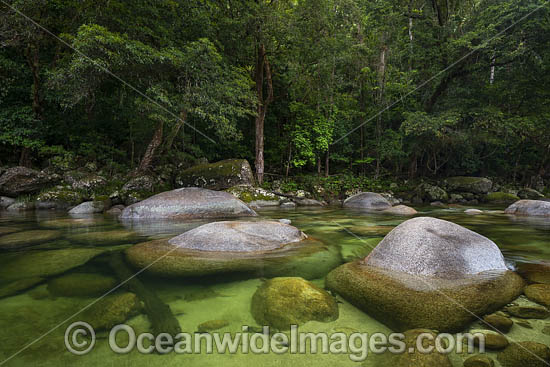 Mossman Gorge photo