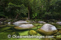 Mossman Gorge Photo - Gary Bell