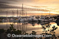 Port Douglas marina Photo - Gary Bell