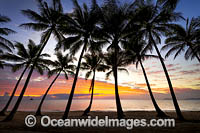 Cairns Palm Cove sunrise Photo - Gary Bell