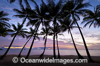 Cairns Palm Cove sunrise Photo - Gary Bell