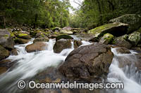 Mossman Gorge Photo - Gary Bell