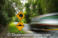 Cassowary Warning sign Photo - Gary Bell