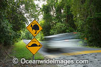 Cassowary Warning sign Photo - Gary Bell