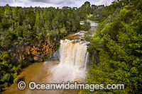 Dangar Falls Dorrigo Photo - Gary Bell