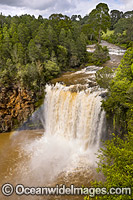 Dangar Falls Dorrigo Photo - Gary Bell