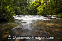 Bruxner Park Coffs Harbour Photo - Gary Bell