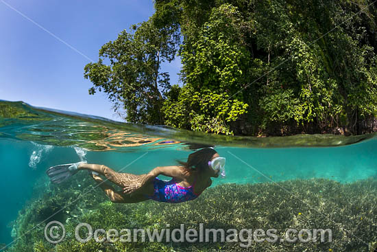 Snorkel Diver and coral reef photo