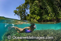 Snorkel Diver and coral reef Photo - Gary Bell