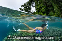 Snorkel Diver and coral reef Photo - Gary Bell