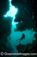 Diver in Cavern Photo - Gary Bell