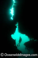 Diver in Cavern Photo - Gary Bell