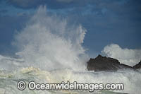 Crescent Head Waves Photo - Gary Bell