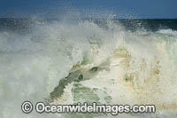 Crescent Head Waves Photo - Gary Bell
