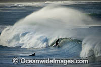 Surfer riding waves Photo - Gary Bell