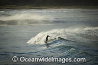 Surfer riding waves Photo - Gary Bell