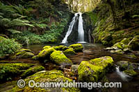 Cascade Falls New England Photo - Gary Bell