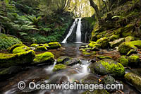 Cascade Falls New England Photo - Gary Bell