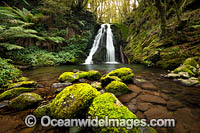 Cascade Falls New England Photo - Gary Bell