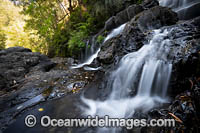 Bangalore Falls Photo - Gary Bell