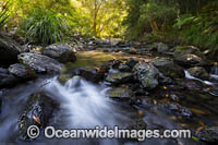 Bindarri Waterfall Photo - Gary Bell