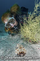 Bullseye Electric Ray Photo - Andy Murch