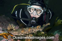 Puffadder Shyshark Photo - Andy Murch