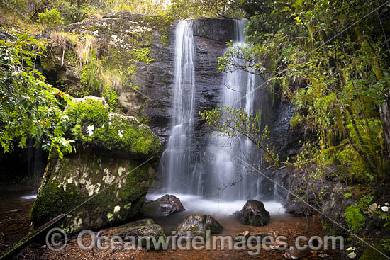 Tea Tree Falls photo Tea Tree Falls photo