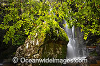 Tea Tree Falls Photo - Gary Bell
