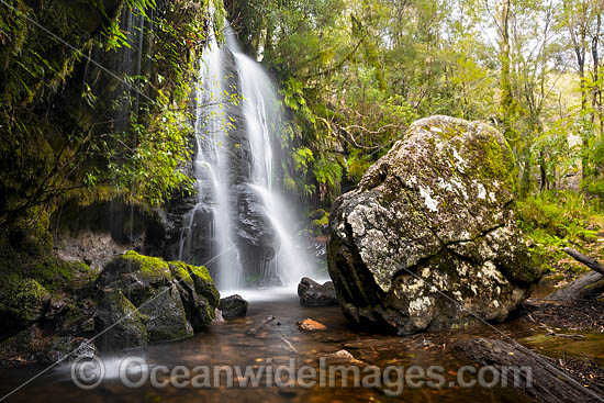 Tea Tree Falls photo Tea Tree Falls photo