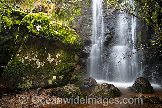 Tea Tree Falls photo Tea Tree Falls photo