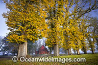 Gostwyck Chapel Photo - Gary Bell