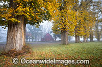 Gostwyck Chapel Photo - Gary Bell