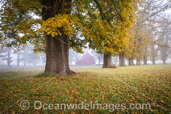 Gostwyck Chapel in Autumn photo Gostwyck Chapel in Autumn photo