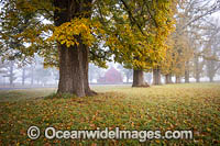 Gostwyck Chapel in Autumn Photo - Gary Bell