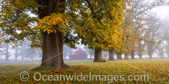 Gostwyck Chapel photo Gostwyck Chapel photo