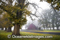 Gostwyck Chapel in Autumn Photo - Gary Bell